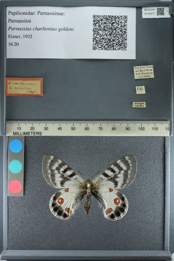 Media type: image;   Entomology 180477